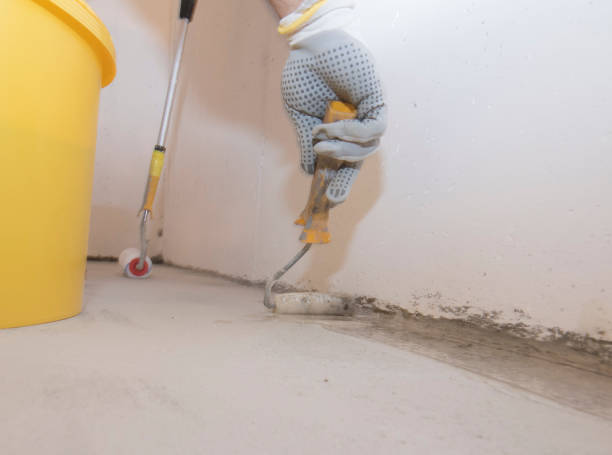 Best Pest Prevention Services  in Cayce, SC